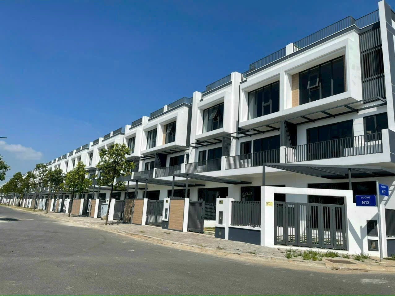 Phát hiện một khu ven của Tp.HCM có giá sơ cấp nhà phố biệt thự bán ra chạm mốc hơn 62 tỉ đồng/căn - Ảnh 3.