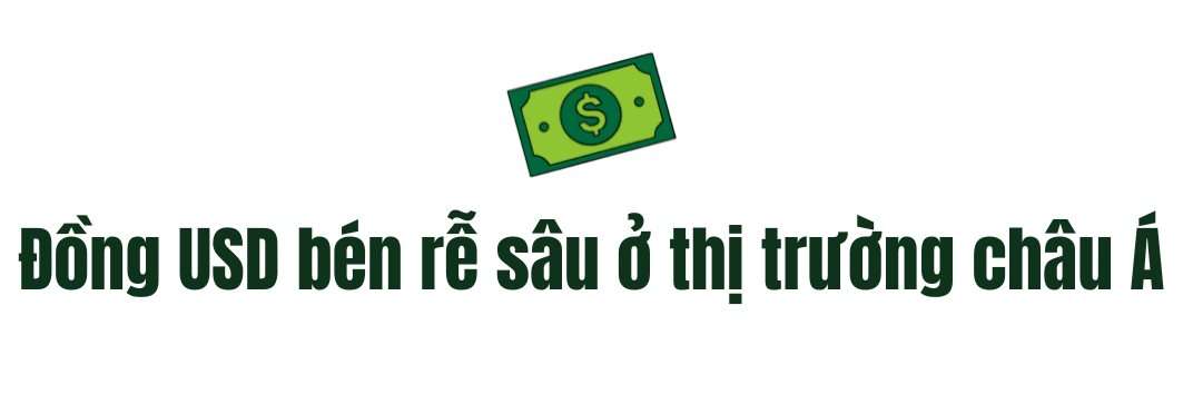 Nhiều nước châu Á tìm cách &quot;cai nghiện&quot; đồng USD: Có thể nhưng không dễ - Ảnh 2.