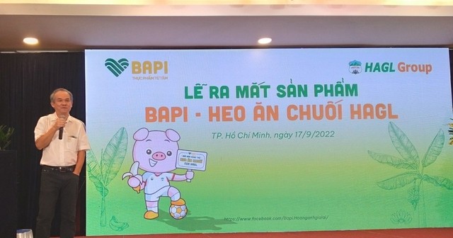 Tái cấu trúc tập đoàn, HAGL thoái vốn khỏi Bapi - 第4张