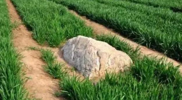Vì sao “ngọn núi nhỏ nhất Trung Quốc” cao chỉ 0,6m nhưng không ai dám leo trèo?- Ảnh 2. Vì sao “ngọn núi nhỏ nhất Trung Quốc” cao chỉ 0,6m nhưng không ai dám leo trèo?- Ảnh 2.