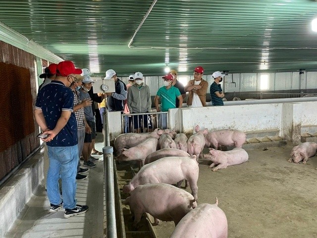 Tái cấu trúc tập đoàn, HAGL thoái vốn khỏi Bapi - 第1张