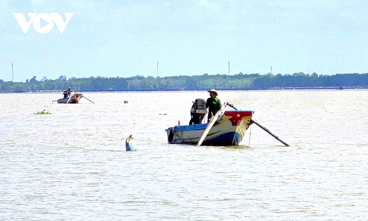 Người dân Cà Mau kiếm 2-3 triệu đồng/ngày nhờ khai thác ruốc biển- Ảnh 6.