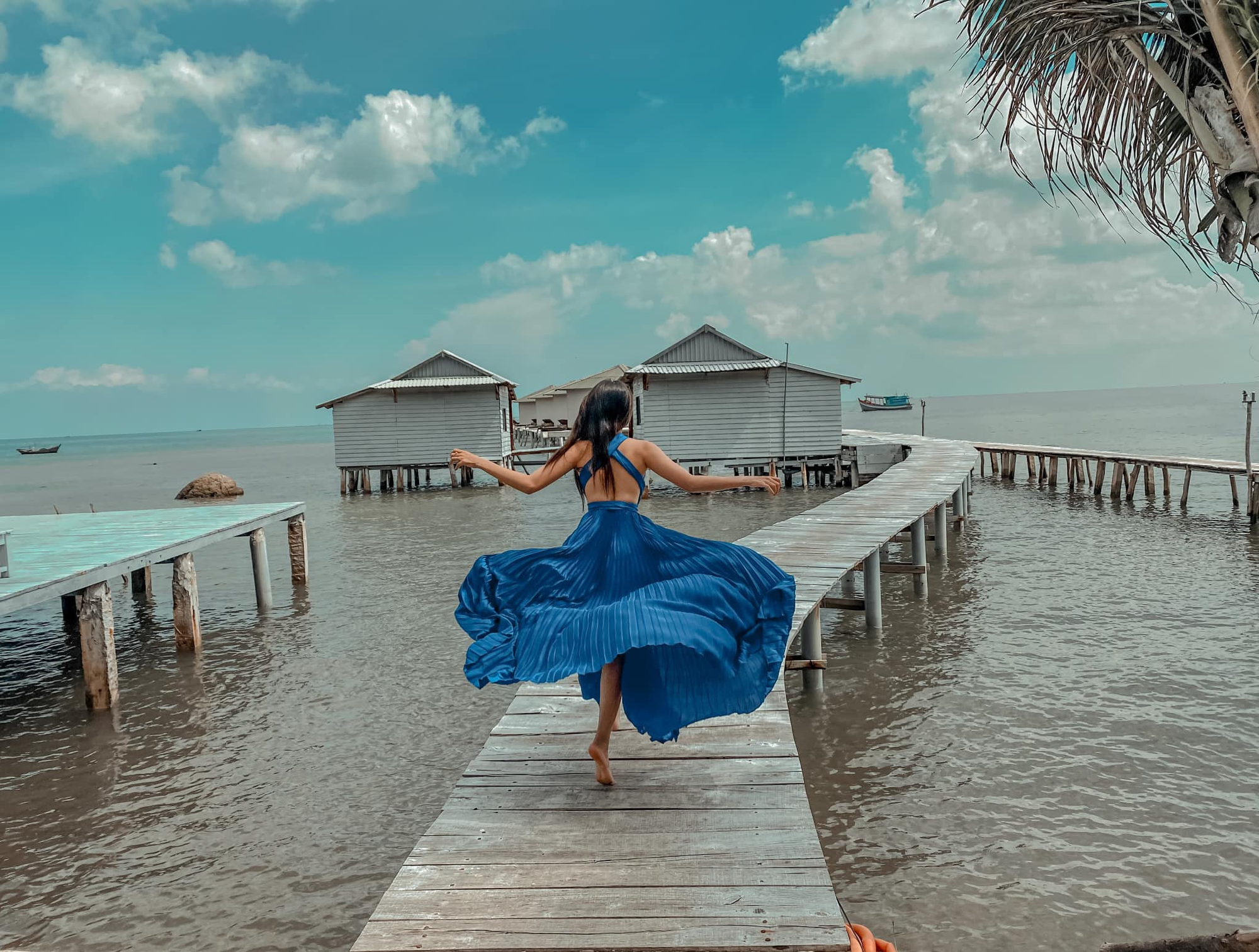 photo-1728535269538 photo-1728535269538