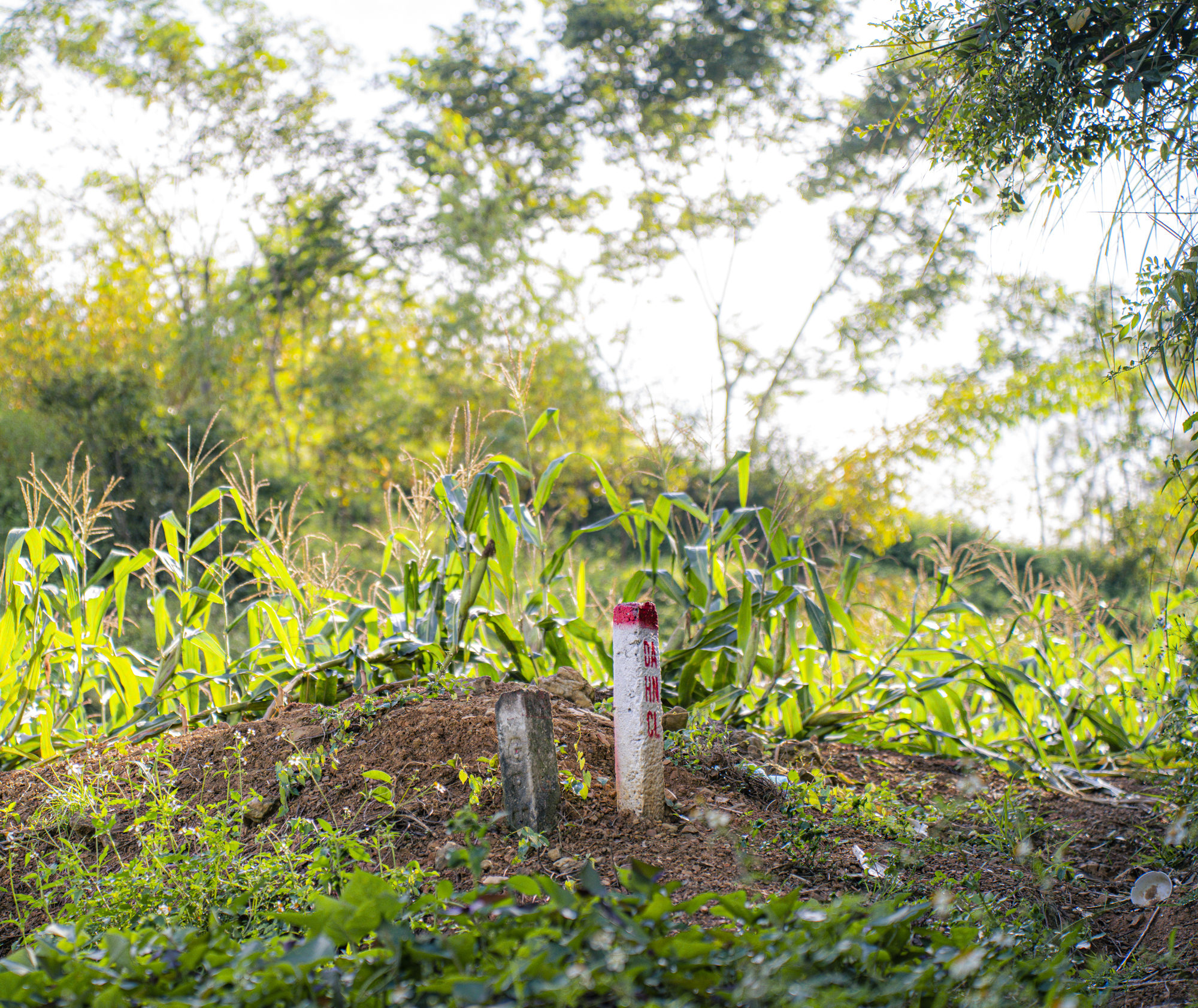 Toàn cảnh hàng chục mũi thi công trên mảnh ghép cuối cùng của cao tốc Bắc - Nam, vốn đầu tư hơn 11.000 tỷ dự kiến hoàn thành chỉ sau 2 năm- Ảnh 11.