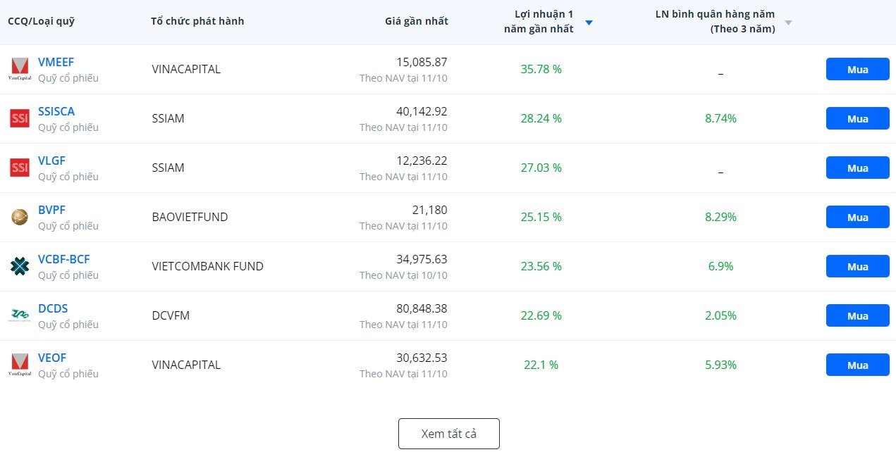 Quản lý cao cấp Dragon Capital: 'Nhà đầu tư nhỏ lẻ giống như người điều khiển xe máy, còn nhà đầu tư quỹ như đi xe bus công cộng'- Ảnh 2.