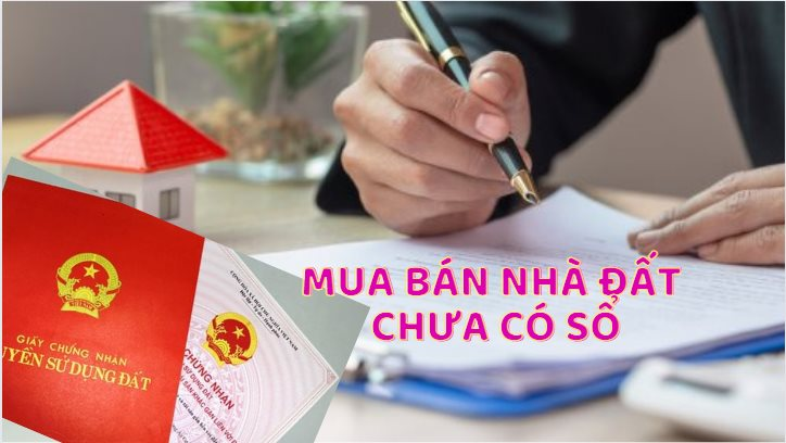 Từ ngày 4/10, bán đất không sổ đỏ bị phạt tới 100 triệu đồng- Ảnh 1.