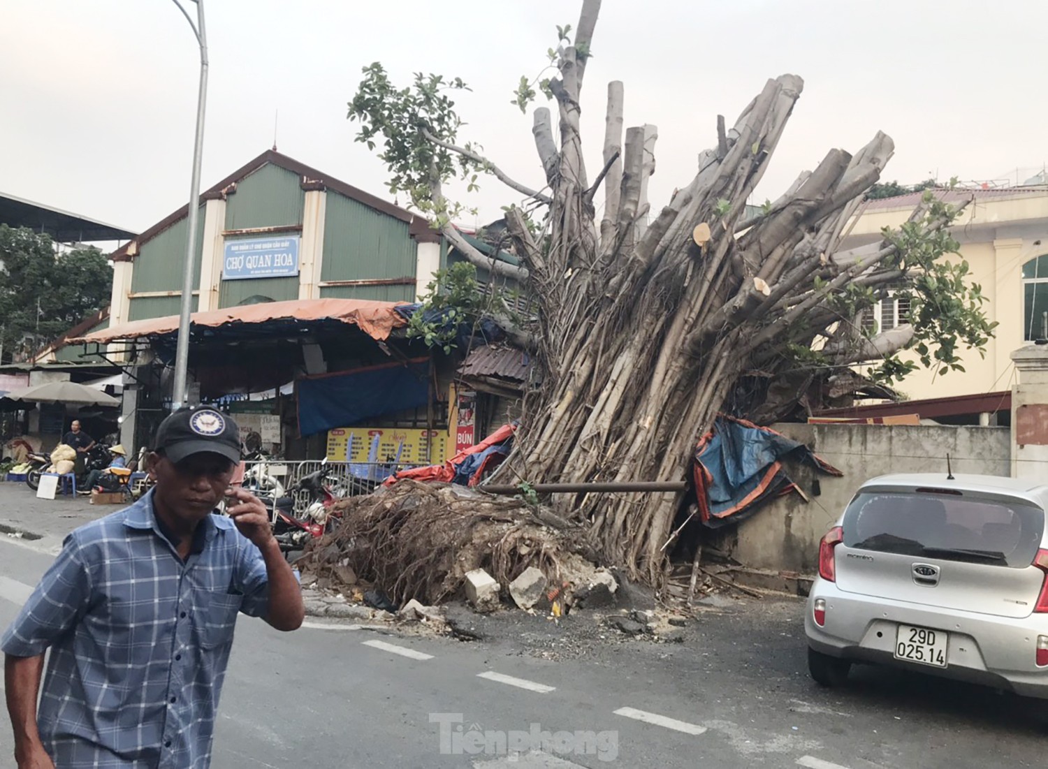 Hơn 1 tháng trôi qua, nhiều cây xanh gãy, đổ ở Hà Nội vẫn chưa được xử lý- Ảnh 7.