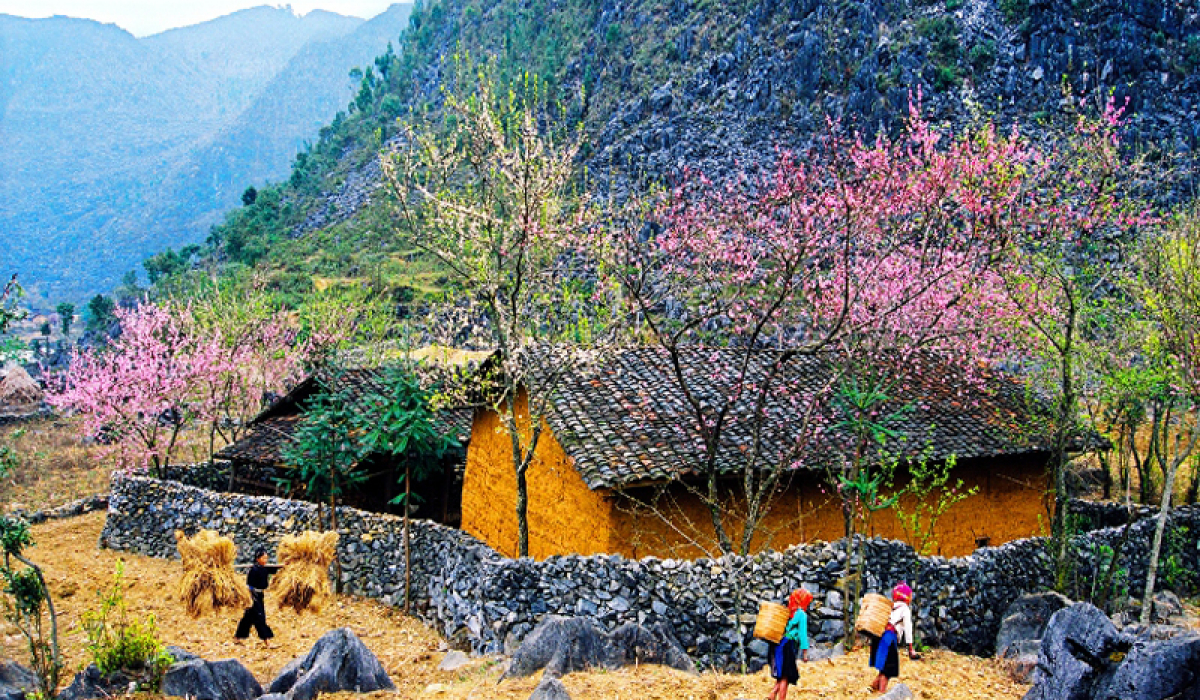 Khách Tây thích thú dùng bữa trưa cùng đồng bào dân tộc ở Hà Giang, cảm thán "phải ăn ít nhất 2 bát cơm"- Ảnh 9.