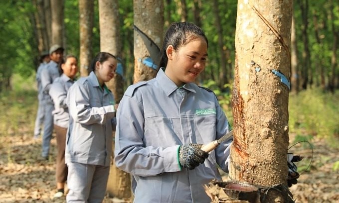 Một công ty sắp tuyển dụng 30.000 nhân sự làm việc tại Việt Nam, Lào và Campuchia- Ảnh 1.