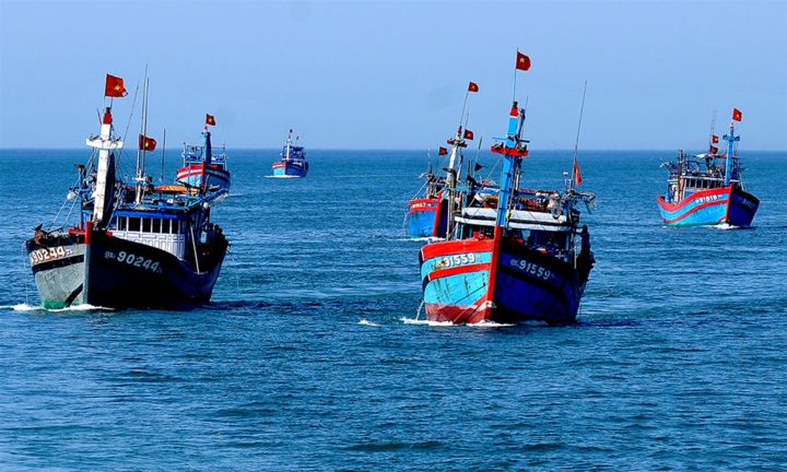 Thanh tra châu Âu sắp tới Việt Nam xem xét gỡ 'thẻ vàng' IUU thủy sản- Ảnh 1.