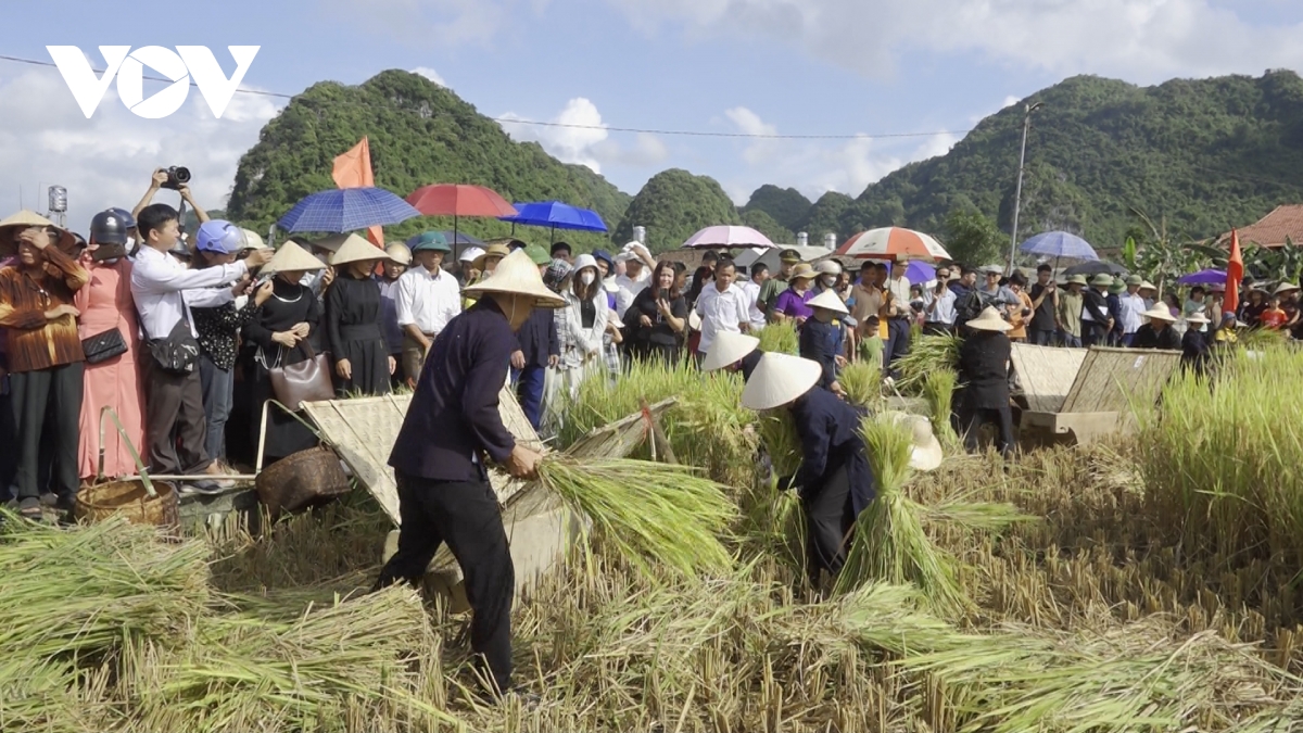 Trải nghiệm "Mùa vàng Bắc Sơn"- Ảnh 4.