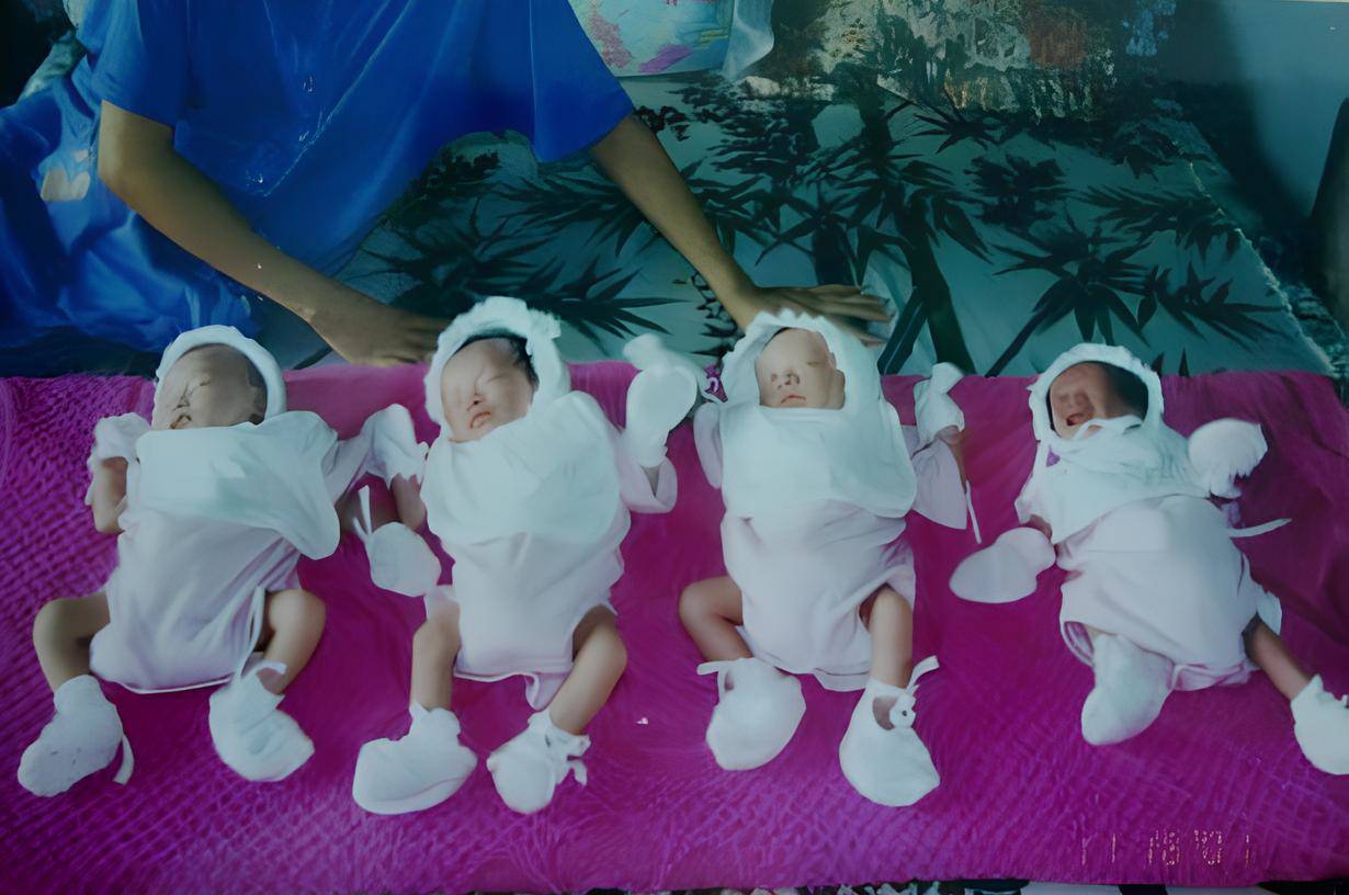 4 cô con gái sinh năm 2001, được đặt tên theo bộ tranh tứ quý của nguyên Phó giám đốc bệnh viện ĐH Y Dược TP.HCM- Ảnh 1. 4 cô con gái sinh năm 2001, được đặt tên theo bộ tranh tứ quý của nguyên Phó giám đốc bệnh viện ĐH Y Dược TP.HCM- Ảnh 1.