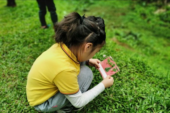 Nếu thường xuyên đưa con đi chơi ở 4 nơi này, trẻ sẽ thông minh hơn, cuộc đời rộng mở vô cùng- Ảnh 3. Nếu thường xuyên đưa con đi chơi ở 4 nơi này, trẻ sẽ thông minh hơn, cuộc đời rộng mở vô cùng- Ảnh 3.
