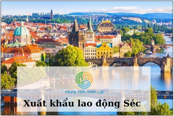 Cơ hội du học và xuất khẩu lao động cùng Trung Tâm Nhân Lực- Ảnh 1.