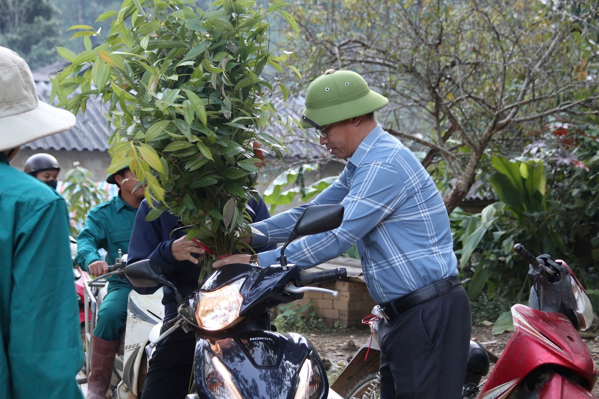 Sau cú bắt tay của 3 "ông lớn", giờ đây ai cũng có thể trồng rừng từ những "chiếc lá" 5.000 đồng- Ảnh 3.