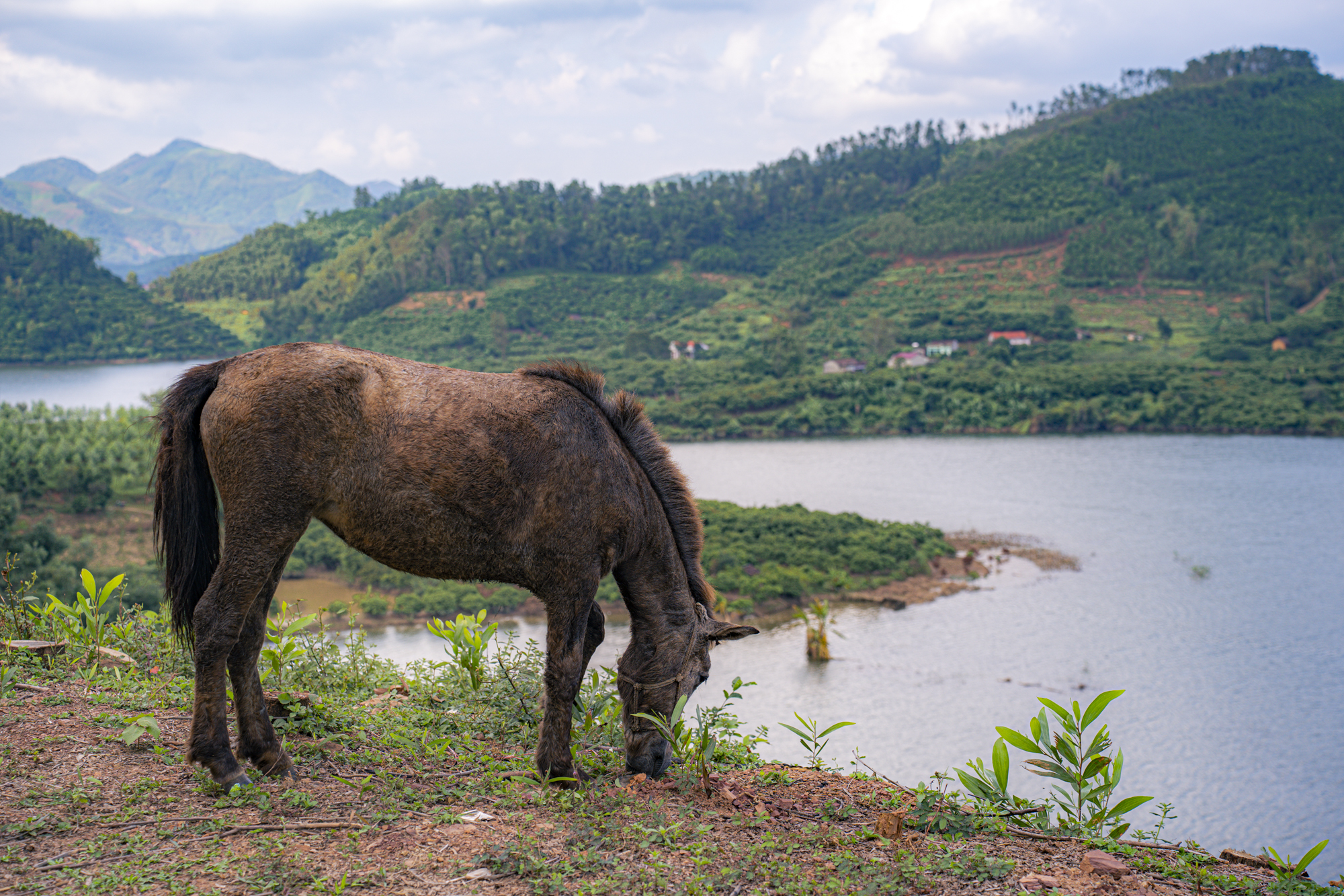 Toàn cảnh hồ nước được đào trên vùng núi có chiều dài lên đến 30 km, dung tích nước lớn gấp 25 hồ Tây- Ảnh 7.