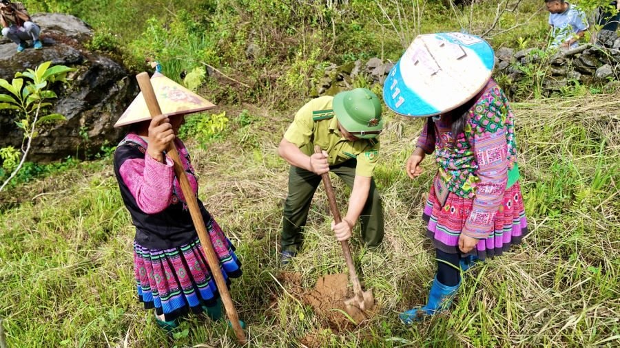 Sau cú bắt tay của 3 "ông lớn", giờ đây ai cũng có thể trồng rừng từ những "chiếc lá" 5.000 đồng- Ảnh 5.