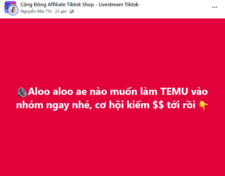 Temu chi hoa hồng 30% hút người Việt tham gia tiếp thị liên kết, chuyên gia nói không "dễ ăn"- Ảnh 1.