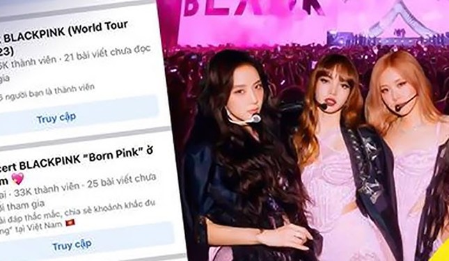 Bị lừa gần 7 tỷ đồng vì mua vé xem ca nhạc online- Ảnh 1. Bị lừa gần 7 tỷ đồng vì mua vé xem ca nhạc online- Ảnh 1.
