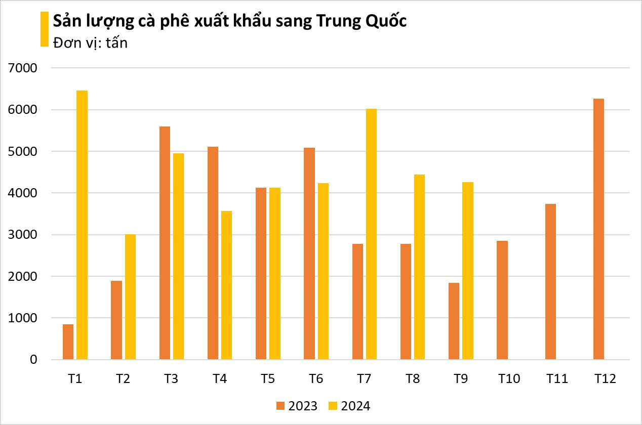 Loại hạt nghìn tỷ của Việt Nam chứng kiến giá tăng 9 tháng không dừng, Trung Quốc bất ngờ tích cực săn lùng- Ảnh 3.