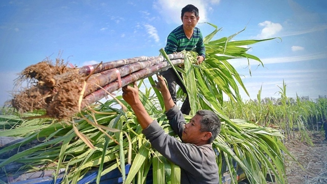 Ôm núi tiền gửi ngân hàng, một doanh nghiệp ung dung thu lời "khủng" mỗi ngày- Ảnh 2. Ôm núi tiền gửi ngân hàng, một doanh nghiệp ung dung thu lời "khủng" mỗi ngày- Ảnh 2.