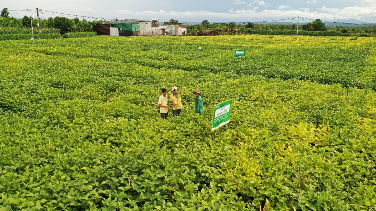 Ôm núi tiền gửi ngân hàng, một doanh nghiệp ung dung thu lời "khủng" mỗi ngày- Ảnh 1. Ôm núi tiền gửi ngân hàng, một doanh nghiệp ung dung thu lời "khủng" mỗi ngày- Ảnh 1.