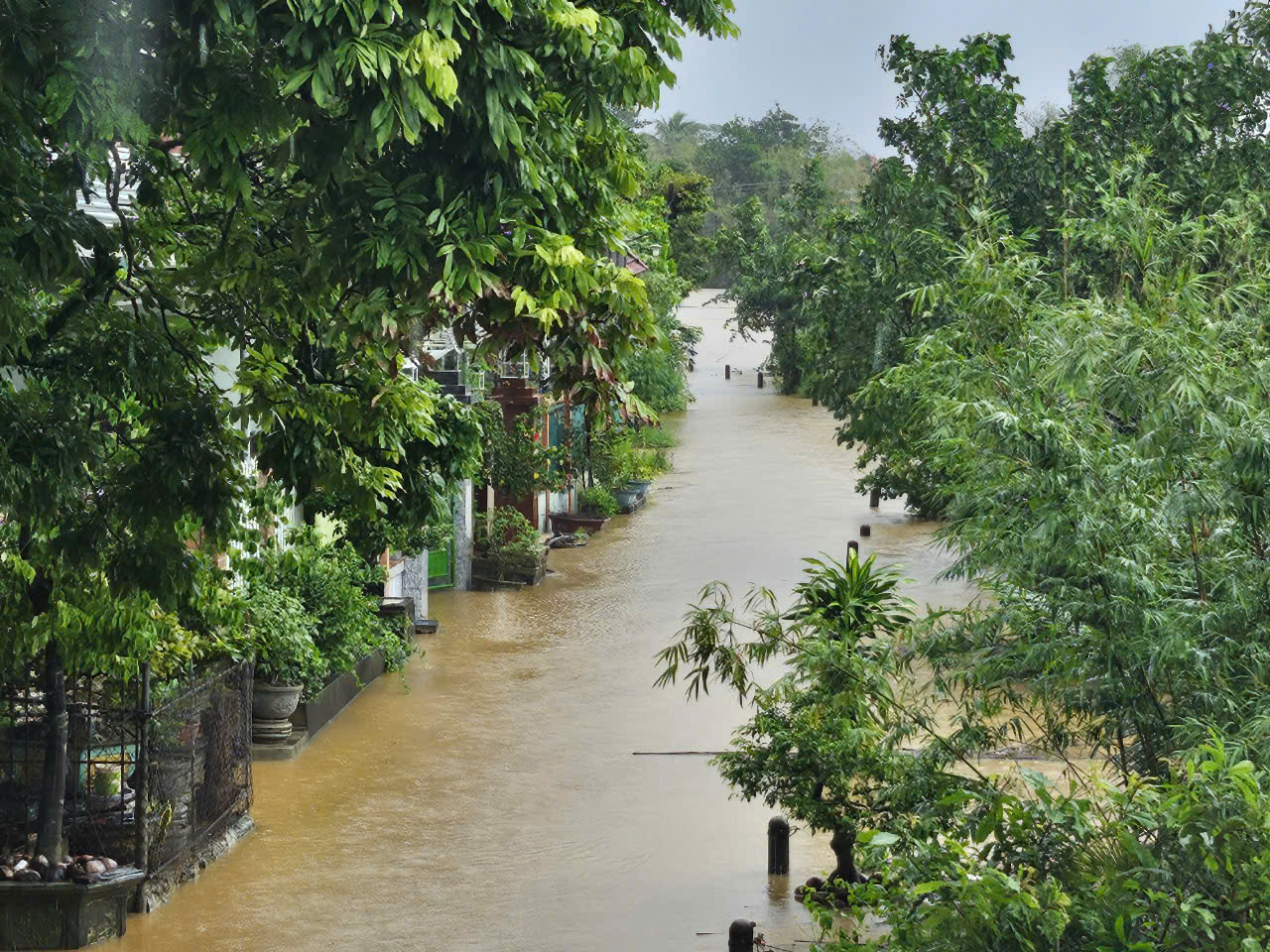 Bão số 6 quét qua miền Trung: 4 người tử vong, cây đổ la liệt, hàng nghìn ngôi nhà chìm trong biển nước- Ảnh 1.