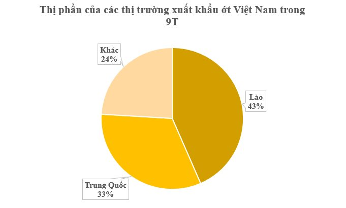 Lào, Trung Quốc mê mệt loại quả 'nhỏ nhưng có võ' này: Việt Nam sở hữu 2 vựa khổng lồ, sản lượng mỗi năm hàng trăm nghìn tấn- Ảnh 2.