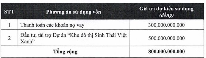 Chủ tịch một công ty bất động sản dự chi 800 tỷ đồng "ôm" trọn 20 triệu cổ phiếu phát hành riêng lẻ- Ảnh 3.