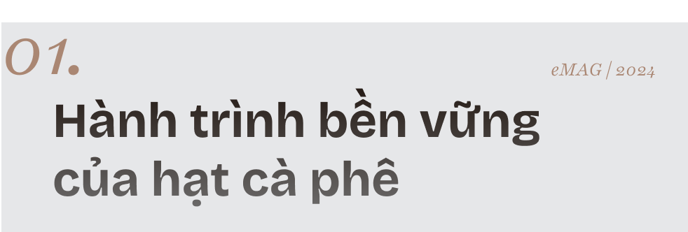 Phía sau hành trình những hạt cà phê bền vững của Việt Nam: Hai điều đặc biệt và thuyết “quả tuyết lăn”- Ảnh 1.