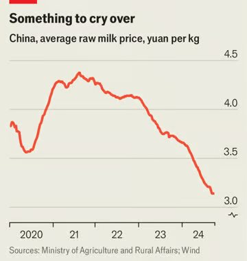 Ngành sữa Trung Quốc lao đao: Nông dân đổ bỏ sản phẩm, giá sữa rớt thê thảm, phần lớn trang trại thua lỗ- Ảnh 2.