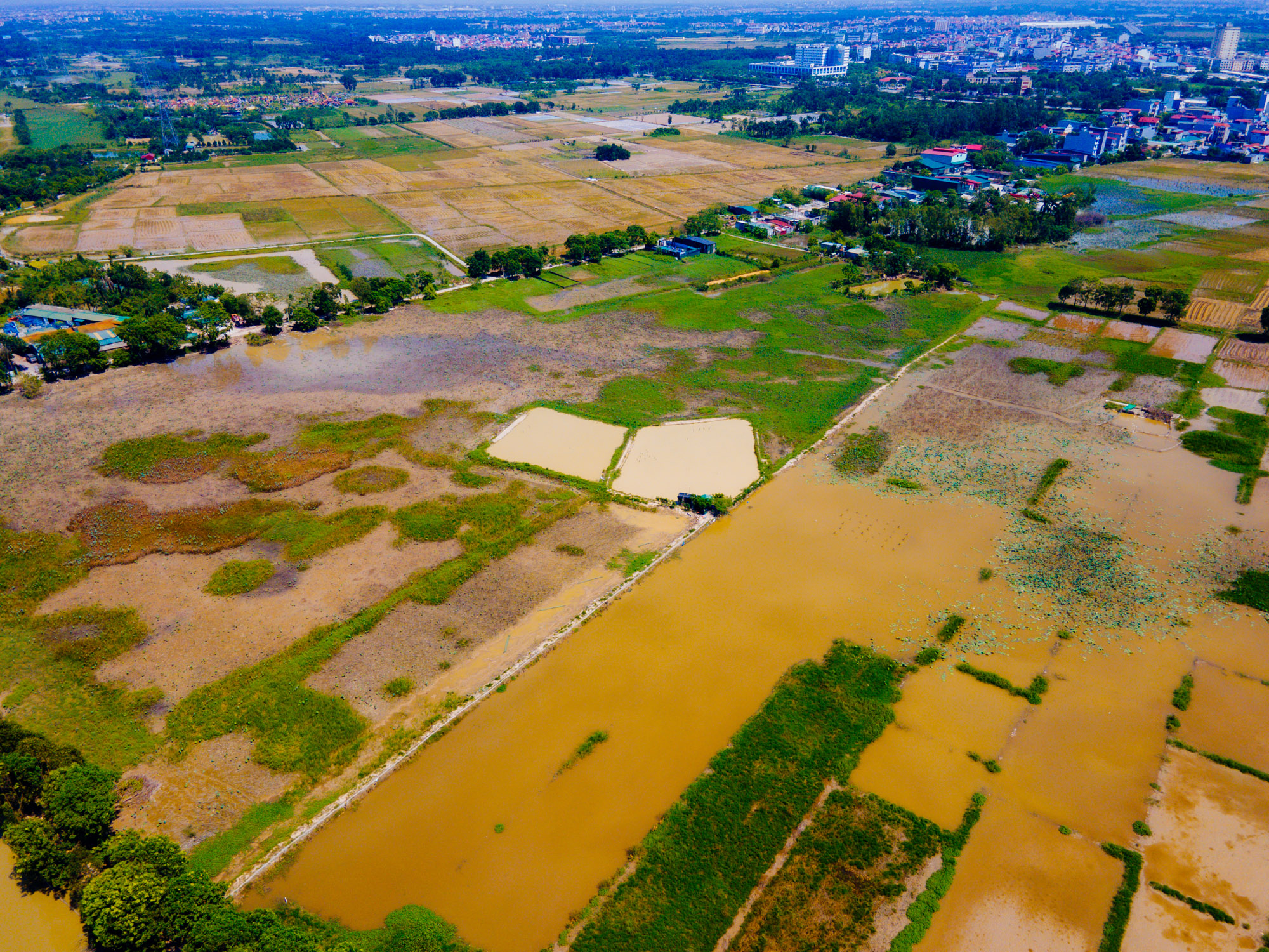 Toàn cảnh khu đất rộng 80 ha, gần cầu Thăng Long đang được mời gọi đầu tư khu đô thị mới 8.000 tỷ ở Hà Nội- Ảnh 9.