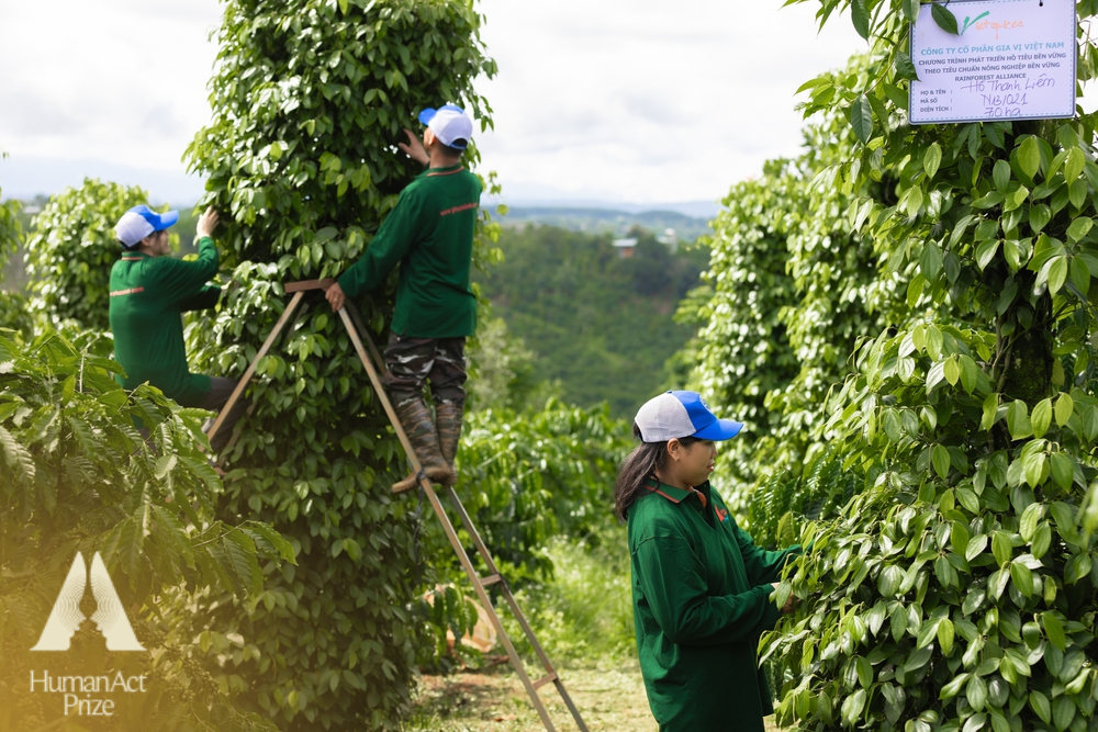 32 dự án vào Vòng chung khảo Giải thưởng Hành động vì cộng đồng - Human Act Prize 2024- Ảnh 2. 32 dự án vào Vòng chung khảo Giải thưởng Hành động vì cộng đồng - Human Act Prize 2024- Ảnh 2.