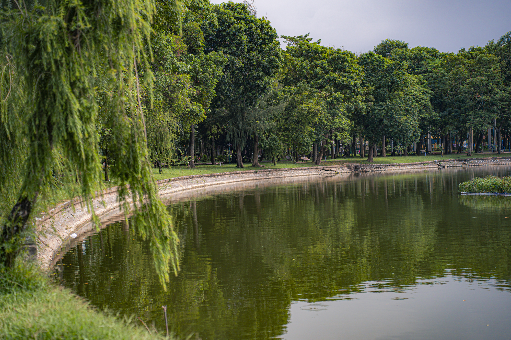 Hồ nước hình thành từ lấp sông, ngay gần UBND tỉnh, trở thành chốn an yên giữa lòng thành phố Nam Định- Ảnh 11.