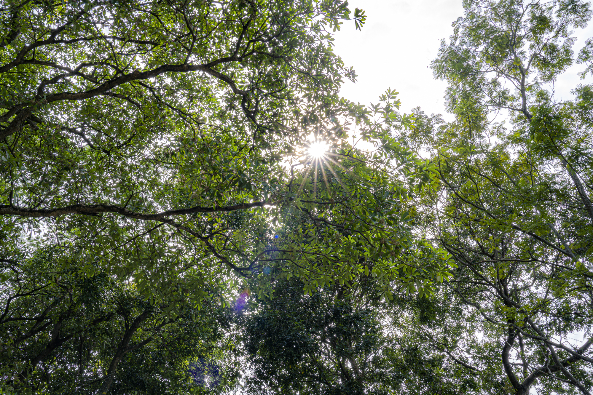 Hồ nước hình thành từ lấp sông, ngay gần UBND tỉnh, trở thành chốn an yên giữa lòng thành phố Nam Định- Ảnh 15.