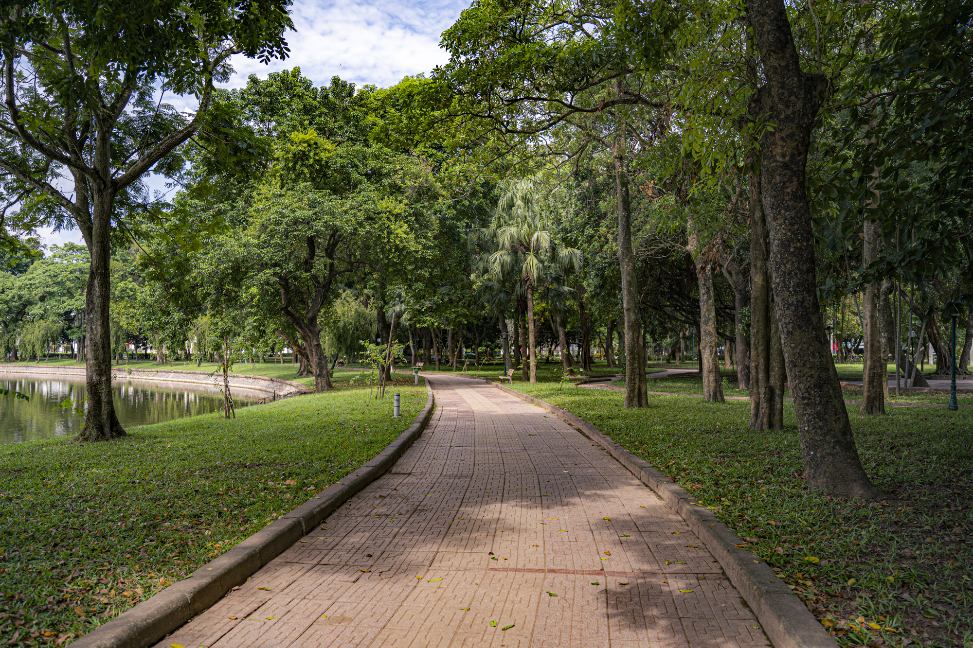 Hồ nước hình thành từ lấp sông, ngay gần UBND tỉnh, trở thành chốn an yên giữa lòng thành phố Nam Định- Ảnh 7.