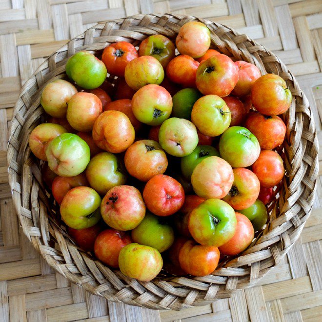 Loại quả có vị chua, chứa vitamin C gấp 50 lần chanh, có thể ngăn ngừa ung thư và giảm cân hiệu quả- Ảnh 4. Loại quả có vị chua, chứa vitamin C gấp 50 lần chanh, có thể ngăn ngừa ung thư và giảm cân hiệu quả- Ảnh 4.