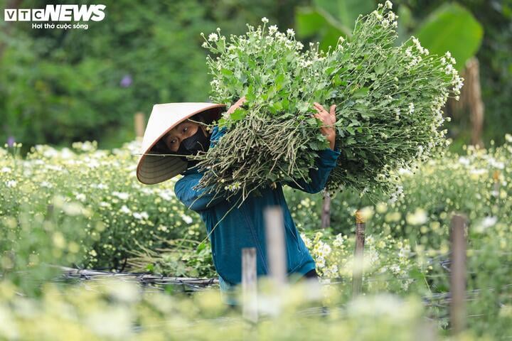 'Đặc sản' Hà Nội tăng giá gấp đôi, khách vẫn chịu chơi lùng mua- Ảnh 4.