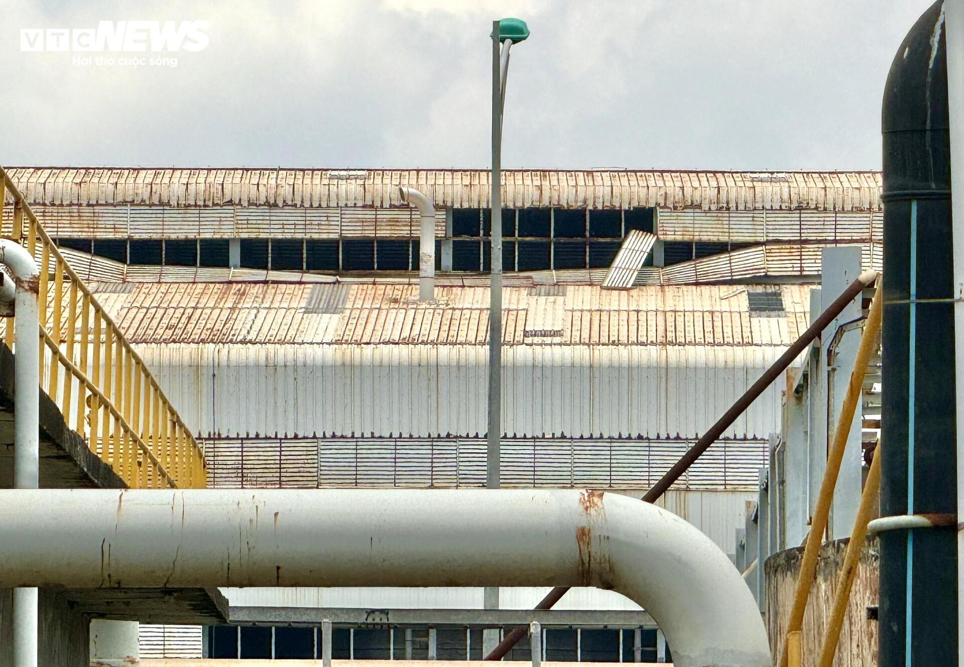 Vì sao nhà máy nhiên liệu sinh học ở Quảng Ngãi chưa thể hoạt động?- Ảnh 4.