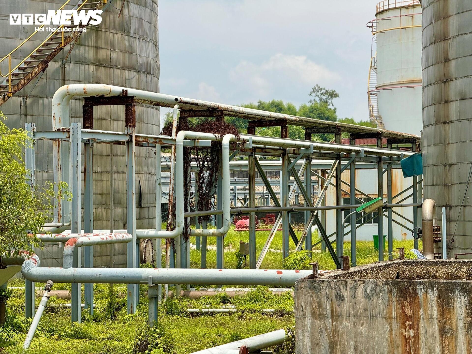 Vì sao nhà máy nhiên liệu sinh học ở Quảng Ngãi chưa thể hoạt động?- Ảnh 12.