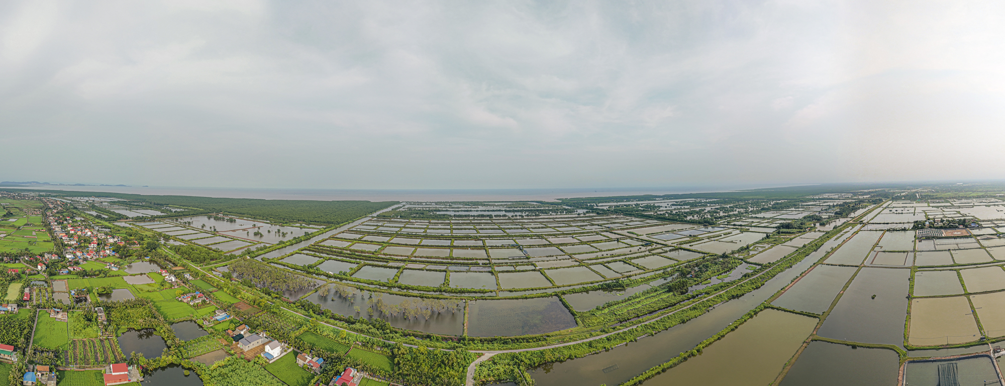 Toàn cảnh cây cầu huyết mạch sẽ kết nối trung tâm thành phố Hải Phòng với khu vực được đề xuất làm sân bay quốc tế Tiên Lãng- Ảnh 3.