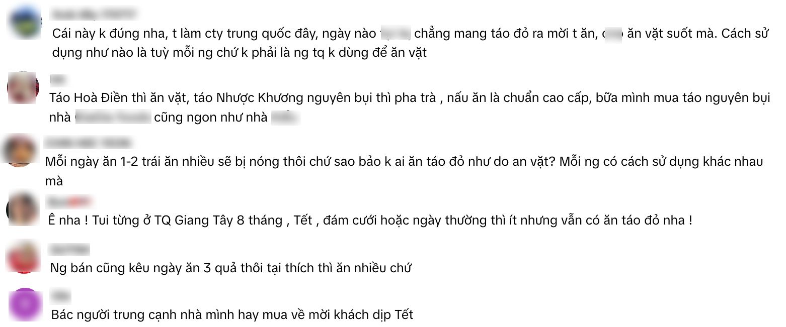 "Không ai ăn táo đỏ như đồ ăn vặt như Việt Nam mình hiện tại", phát ngôn của TikToker khiến MXH bùng nổ tranh cãi- Ảnh 4.