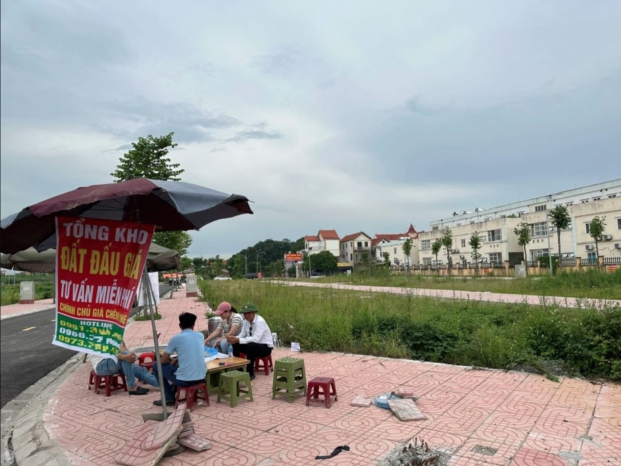 Nóng đấu giá đất ngoại thành Hà Nội, lướt cọc chênh “nhẹ” hàng trăm triệu đồng- Ảnh 1.