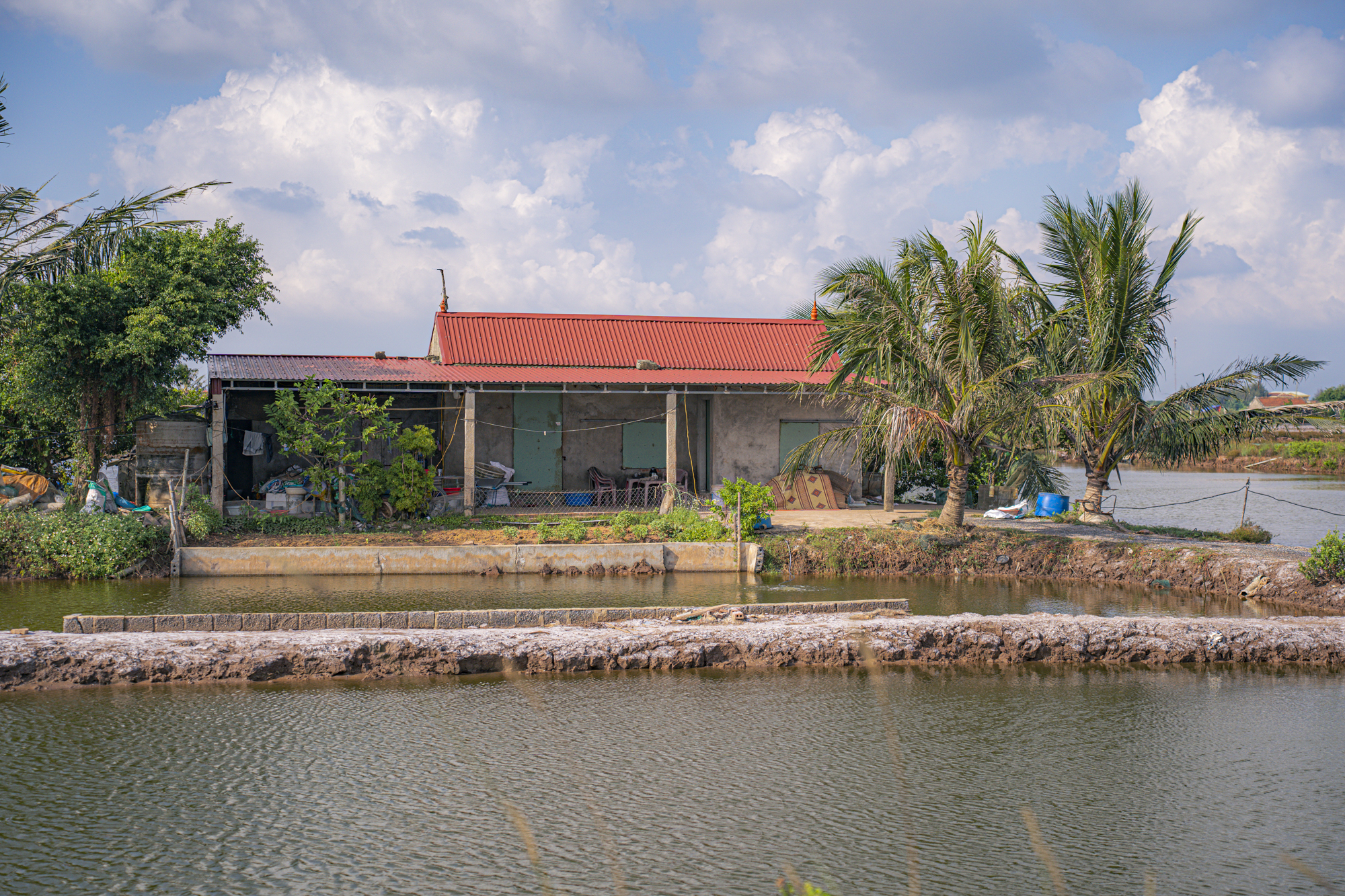 Toàn cảnh khu vực được Tập đoàn Xuân Thiện rót 100.000 tỷ xây nhà máy lớn nhất tỉnh Nam Định- Ảnh 9.