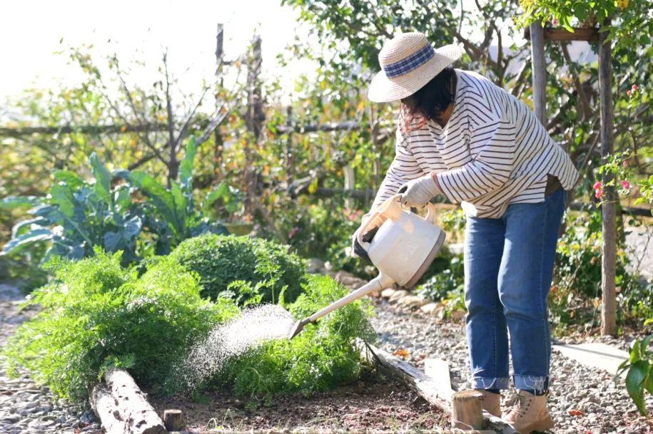 Từ đất cằn, đôi vợ chồng trung niên dành 3 năm "toàn tâm toàn ý" xây dựng khu vườn, thay đổi cả cuộc đời- Ảnh 25.