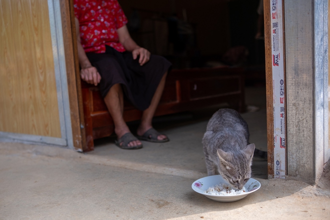 Về với Làng Nủ những ngày này: Nắng nhuộm vàng những ngôi nhà mới, người dân gượng dậy sau tang thương- Ảnh 9.