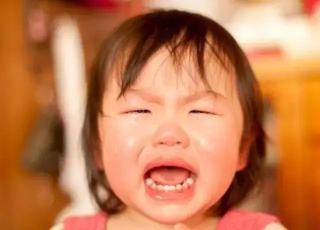 Đang nằm xoài ra đất ăn vạ, nhìn thấy thứ bà nội cầm trên tay, cô bé 2 tuổi có phản ứng khiến mọi người cười rũ rượi- Ảnh 3. Đang nằm xoài ra đất ăn vạ, nhìn thấy thứ bà nội cầm trên tay, cô bé 2 tuổi có phản ứng khiến mọi người cười rũ rượi- Ảnh 3.