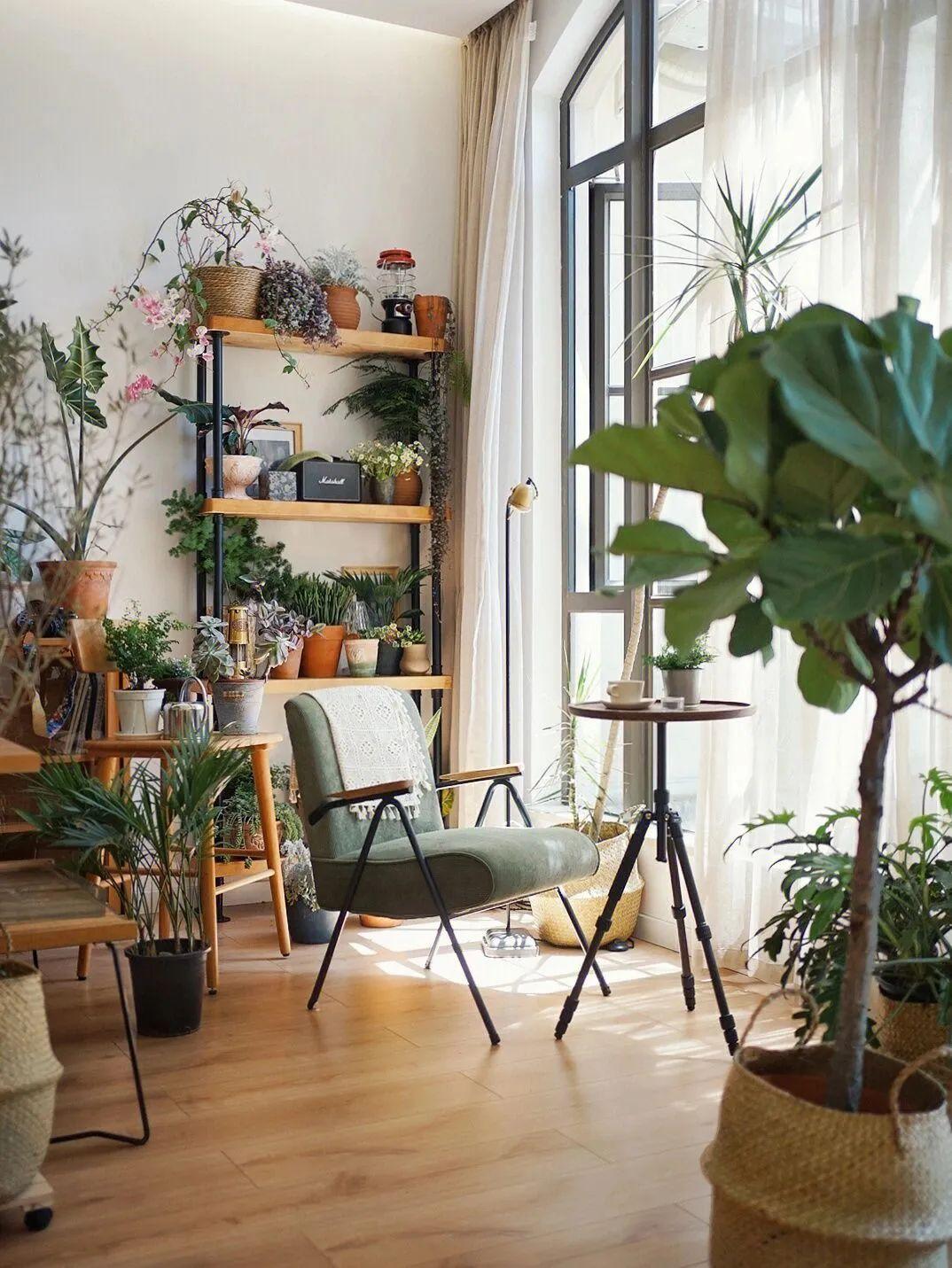 Biệt thự của người phụ nữ trung niên nuôi con 1 mình: Rộng 300m2 với hai khu vườn, 