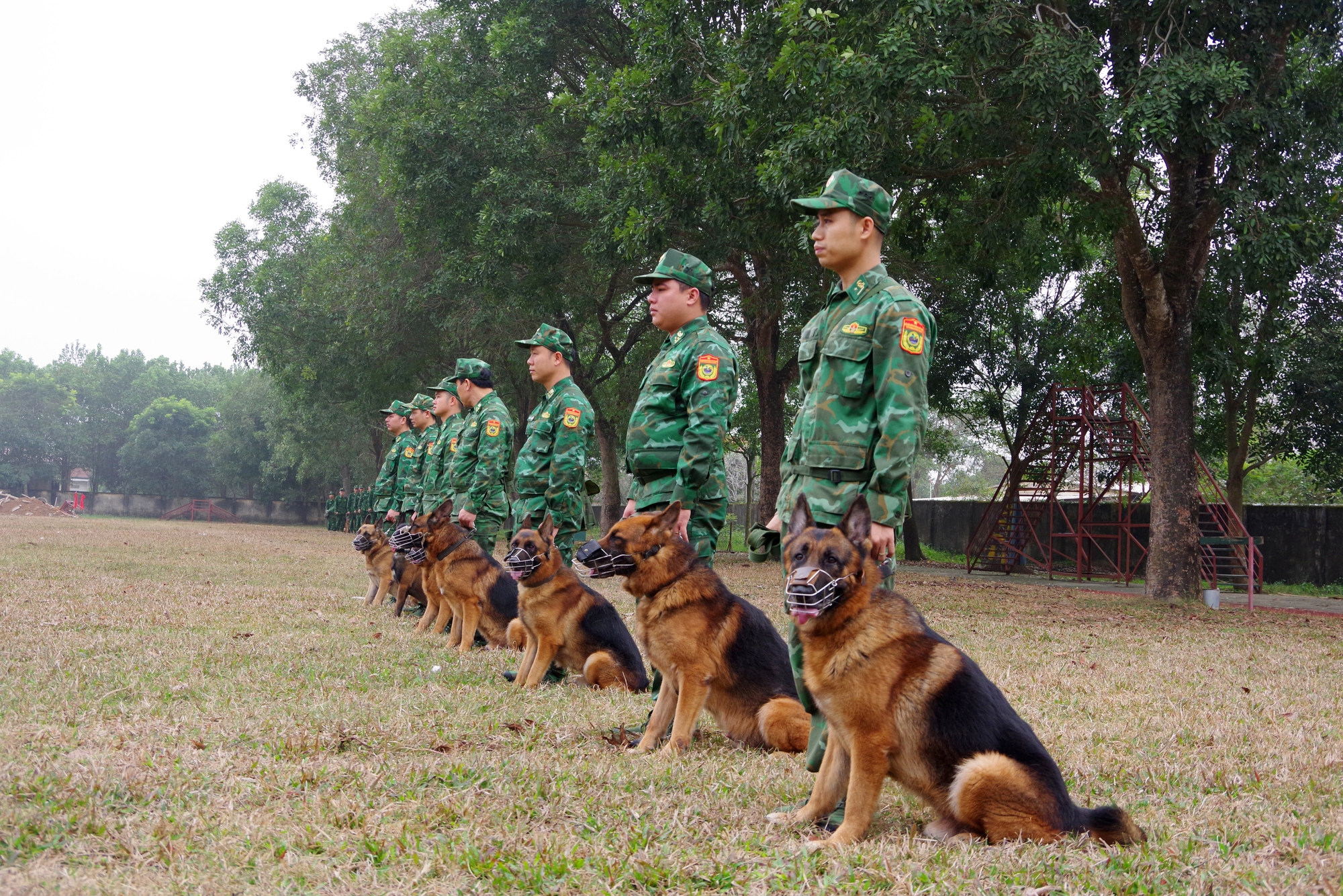 80 quân khuyển sẽ làm điều đặc biệt tại Triển lãm quốc phòng quốc tế Việt Nam 2024- Ảnh 2.