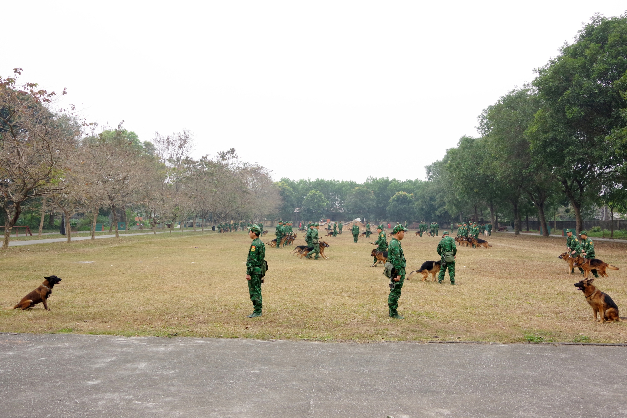 80 quân khuyển sẽ làm điều đặc biệt tại Triển lãm quốc phòng quốc tế Việt Nam 2024- Ảnh 4.